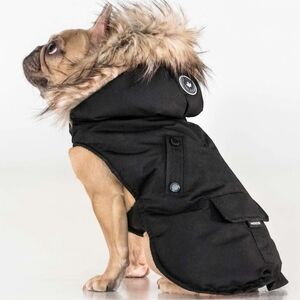 Noize Karter Dog Coat